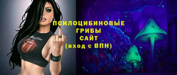 шишки Алексеевка