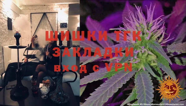 шишки Алексеевка