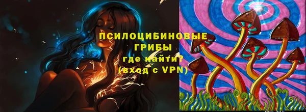 шишки Алексеевка
