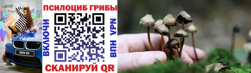 что такое   Ейск  Псилоцибиновые грибы мицелий 