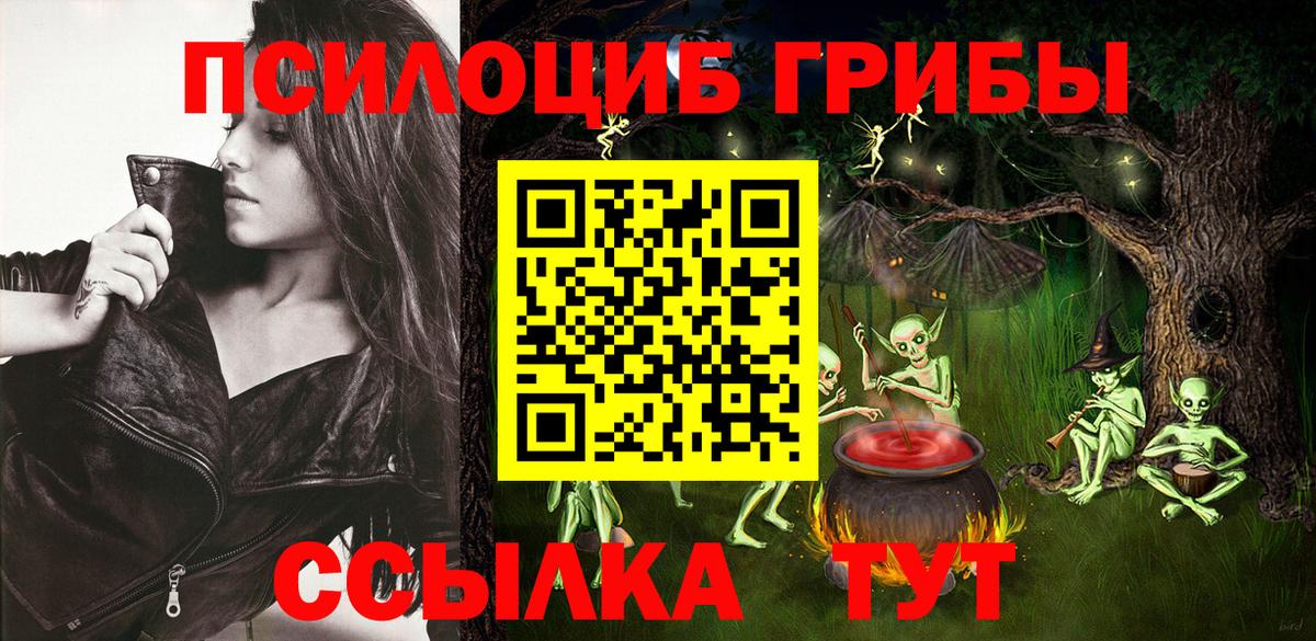 Псилоцибиновые грибы GOLDEN TEACHER  Вход с VPN  Ейск 