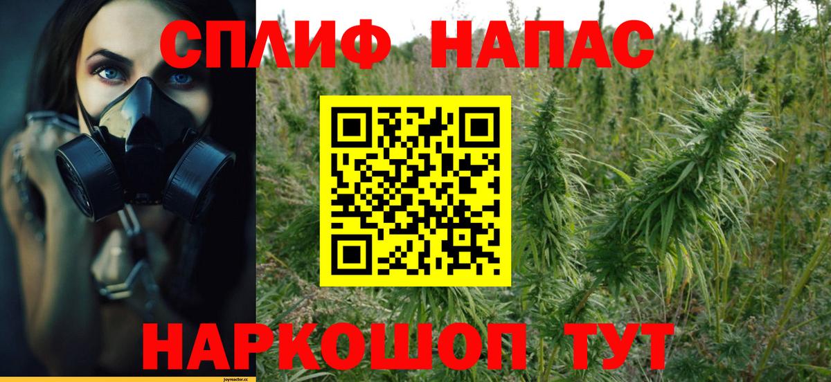 Канабис семена  Шишки марихуана индика  Ейск  Конопля план  Вход с VPN 